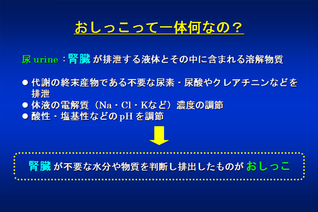 おしっこの話