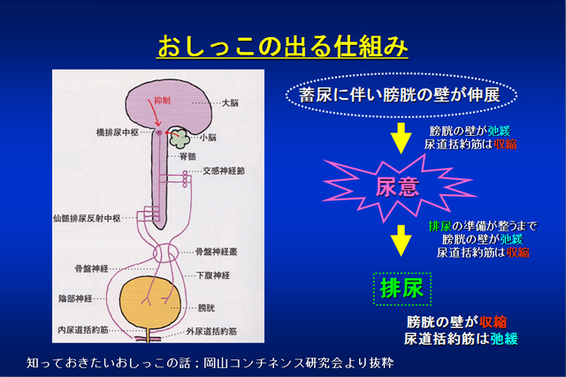 おしっこの話